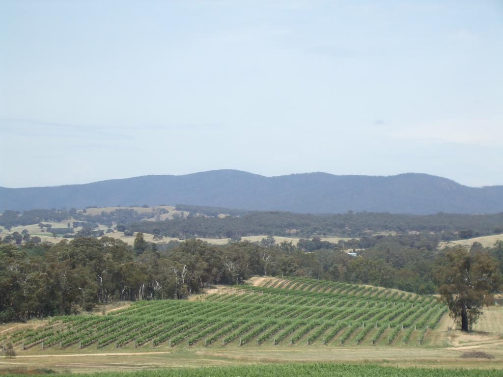 Summerfield Winery And Accommodation Pyrenees エクステリア 写真